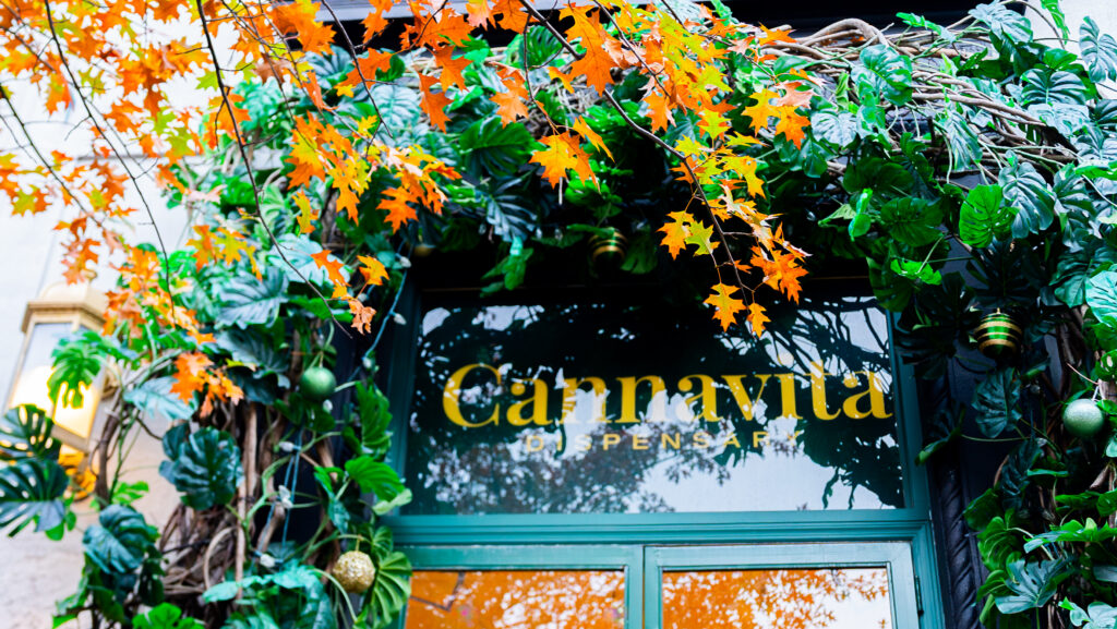 cannavita legal dispensary in queens astoria