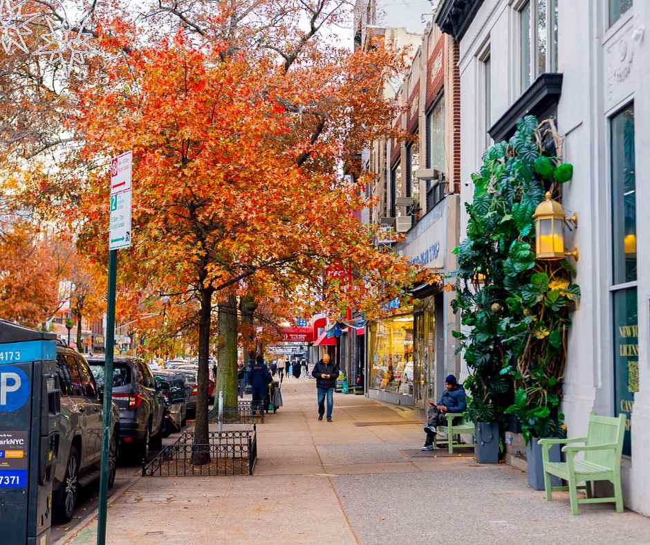 cannavitaa_dispensary_queens