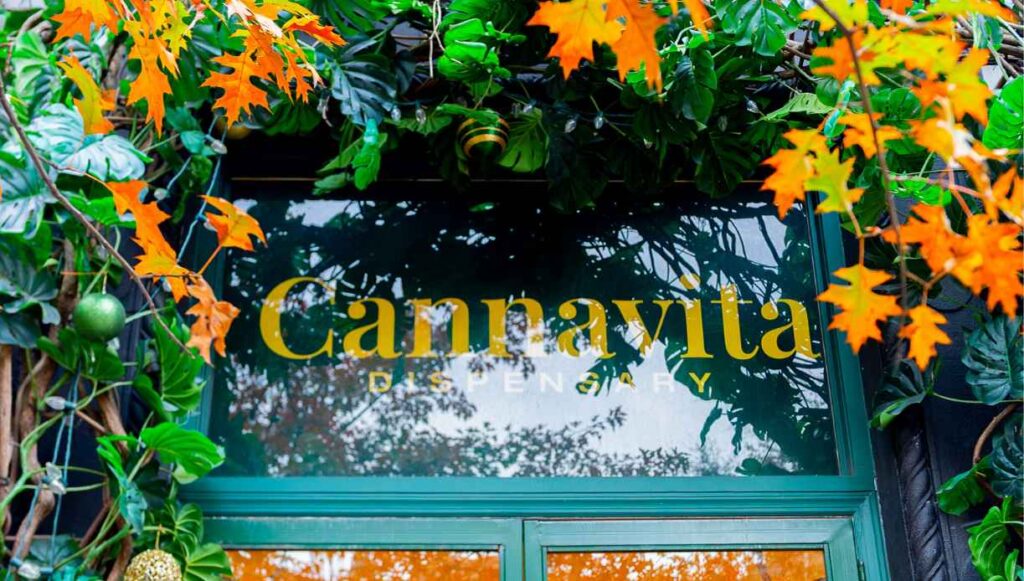 best dispensary in queens nyc