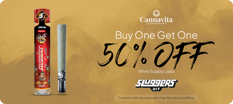 Cannavita_Sluggers_800x360